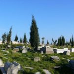 Jewish cemetery with cypress trees in Hasköy, Istanbul