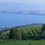Shore of the Sea of Galilee