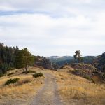Forest trail near Sarıkamış